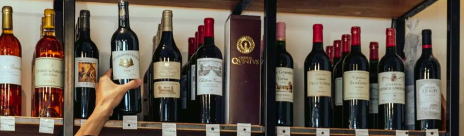 Sélection de bouteilles de grands vins sur les étagères de la cave
